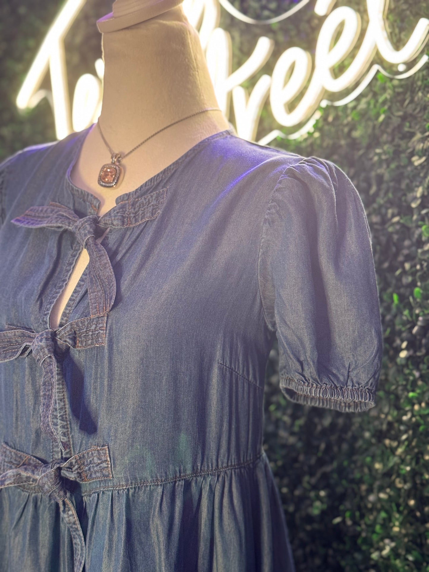 Brookes Denim Chambray Dress