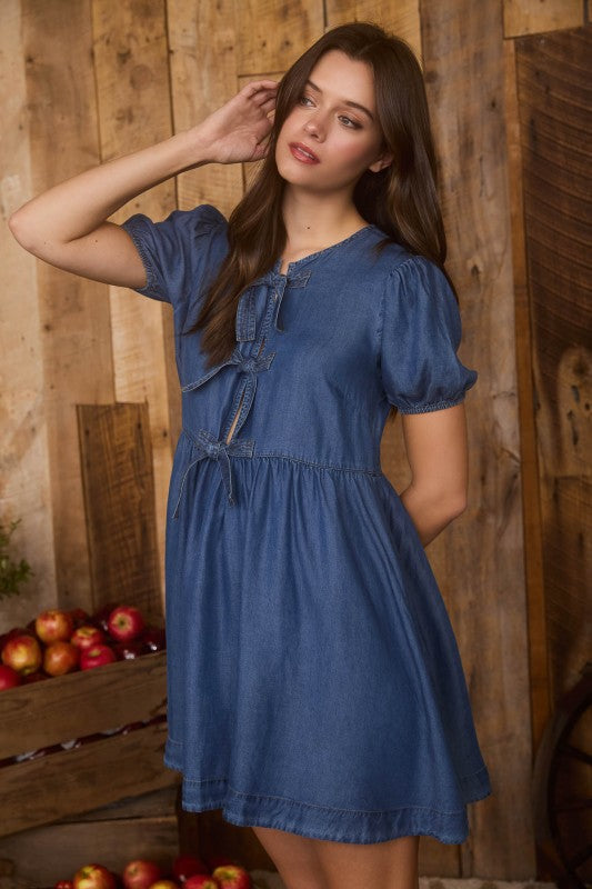 Brookes Denim Chambray Dress