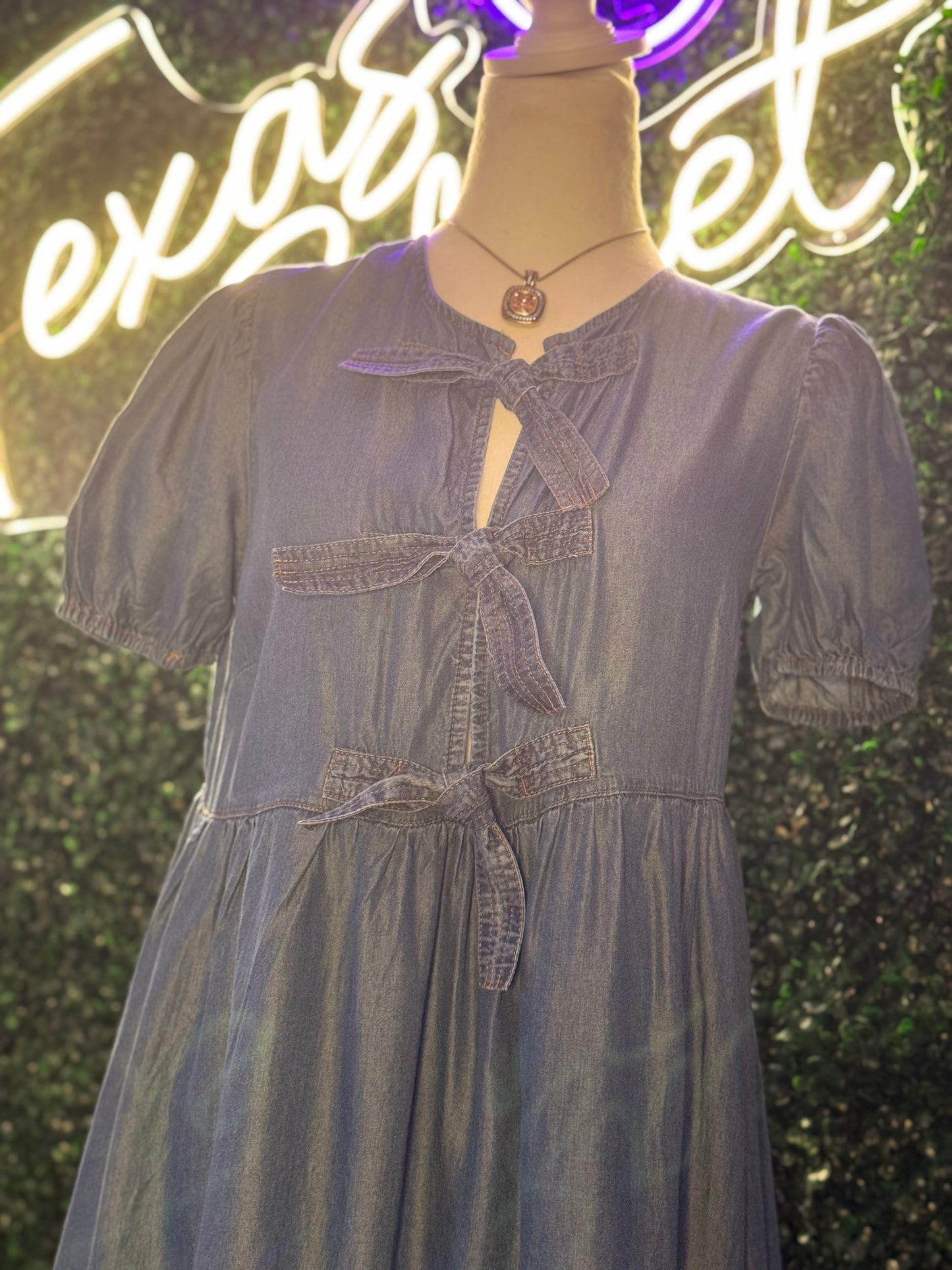 Brookes Denim Chambray Dress