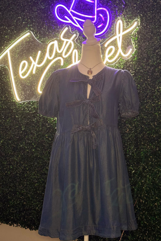 Brookes Denim Chambray Dress