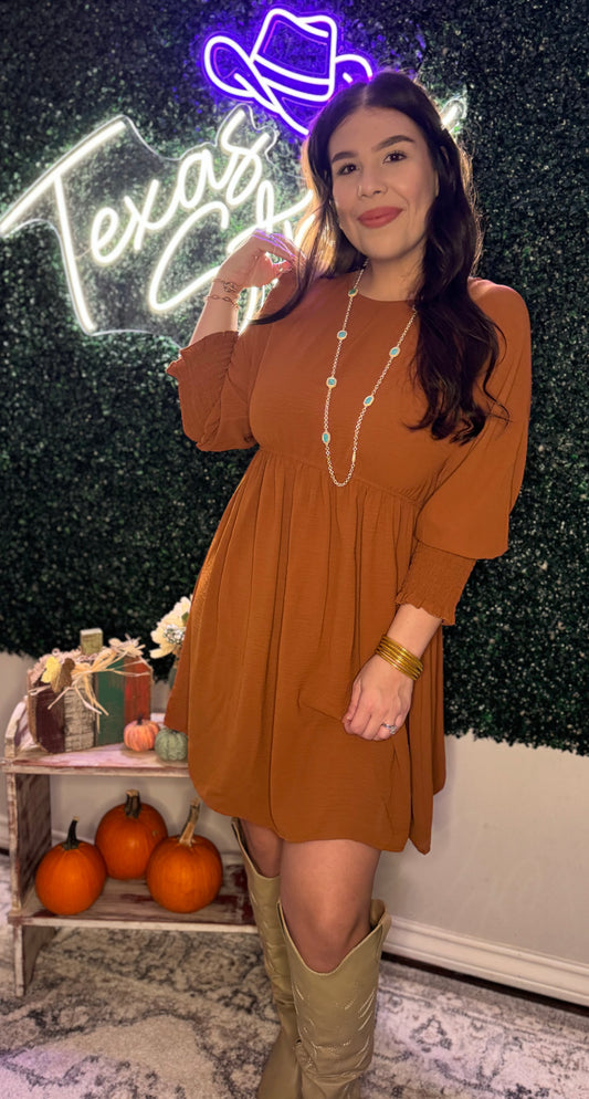 Chestnut Swing Dress